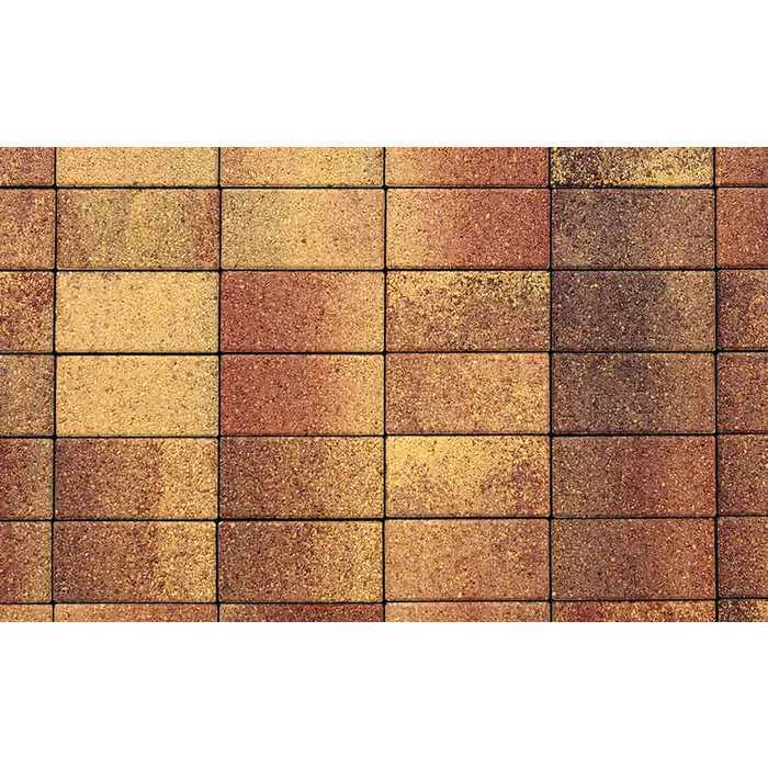 Плитка тротуарная Прямоугольник (Ла-Линия) В.2.П.10 Листопад гранит Осень 200x100x100 мм